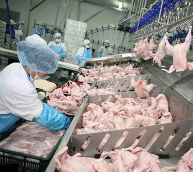 HACCP igiena personal